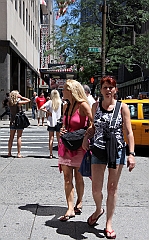 C5D_042981