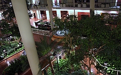 C5D_043228