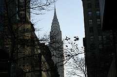IMG_4358