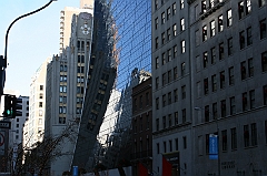 IMG_4386