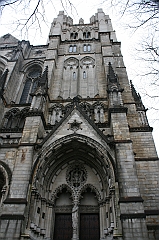 IMG_4421