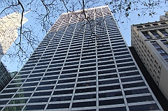 C5D_015500