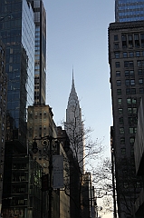 C5D_015501