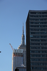C5D_015505