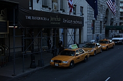 C5D_015565