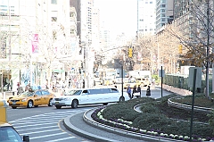 C5D_015648