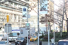 C5D_015675
