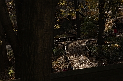 C5D_015702