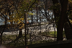 C5D_015703