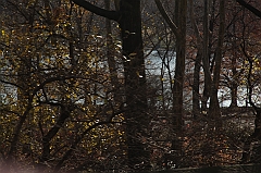 C5D_015705