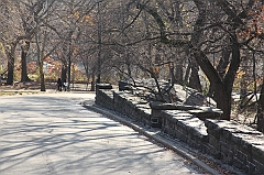 C5D_015707