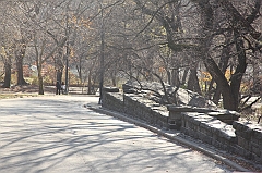 C5D_015708