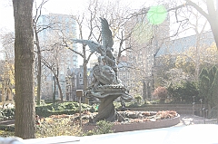 C5D_015737