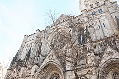 C5D_015738