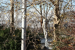 C5D_015751