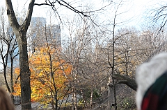 C5D_015807