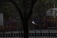 C5D_015850