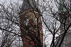 C5D_015851