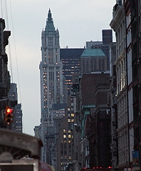 C5D_015860