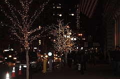 C5D_015893