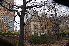 C5D_015927