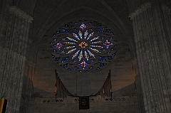 C5D_015937
