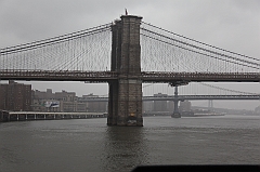 C5D_015951