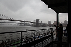 C5D_015952
