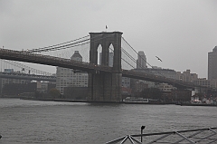 C5D_015953