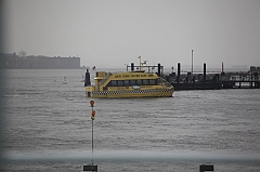 C5D_015958