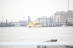 C5D_015959