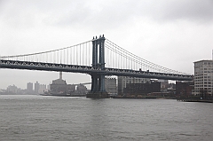C5D_015967
