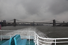 C5D_015969