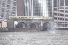 C5D_015978