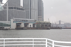 C5D_015981