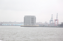 C5D_015982