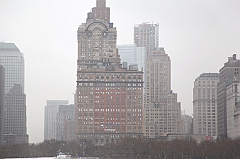 C5D_015985