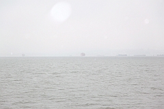 C5D_015991