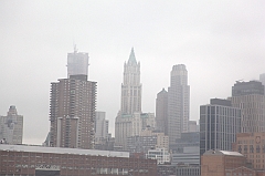 C5D_016030