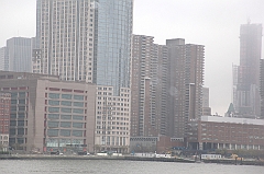 C5D_016031