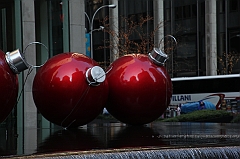 C5D_016235