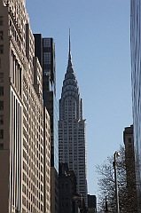 C5D_016318