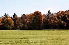 C5D_048732