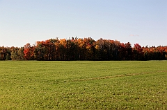 C5D_048733