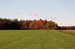 C5D_048734