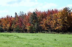 C5D_048735