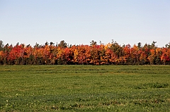 C5D_048736