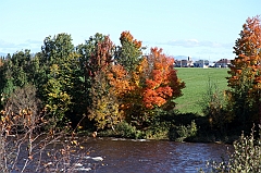 C5D_048740