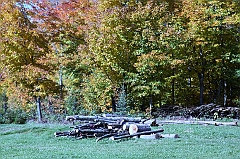 C5D_048794