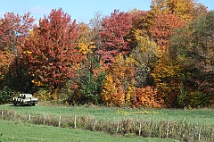 C5D_048802